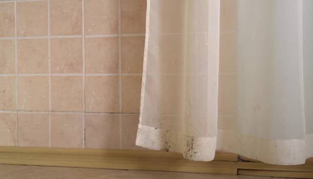 Best Air Quality Testing for Mold Spores  in Ladera Ranch, CA