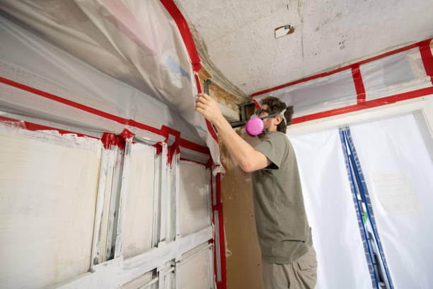 Best Residential Mold Inspection & Testing  in Ladera Ranch, CA