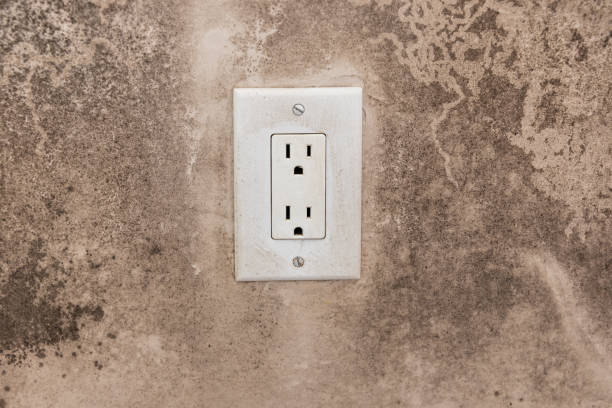 Mold Odor Removal Services in Ladera Ranch, CA