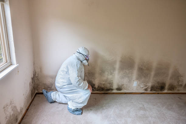 Best Asbestos and Lead Testing During Mold Inspection  in Ladera Ranch, CA